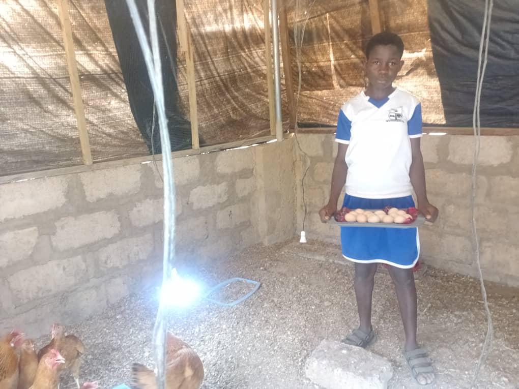 Juma Academy chicken farm — poultry enterprise